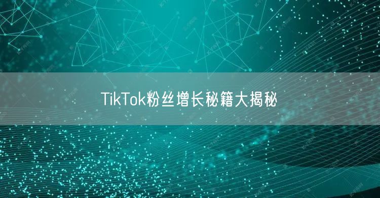 TikTok粉丝增长秘籍大揭秘