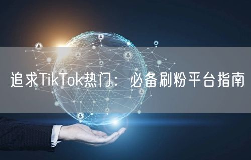 追求TikTok热门：必备刷粉平台指南