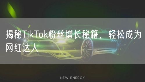 揭秘TikTok粉丝增长秘籍，轻松成为网红达人