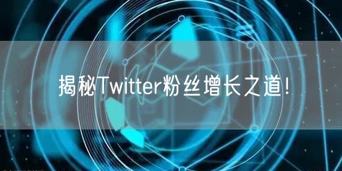 揭秘Twitter粉丝增长之道！