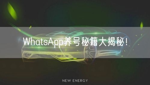 WhatsApp养号秘籍大揭秘！
