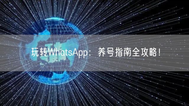 玩转WhatsApp：养号指南全攻略！