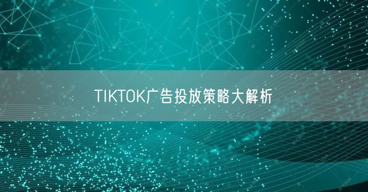 TIKTOK广告投放策略大解析