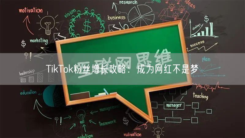 TikTok粉丝增长攻略：成为网红不是梦