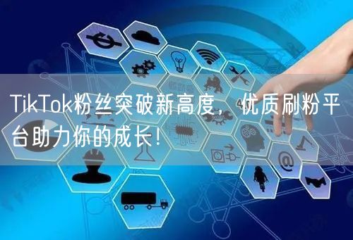 TikTok粉丝突破新高度，优质刷粉平台助力你的成长！