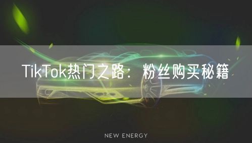 TikTok热门之路：粉丝购买秘籍