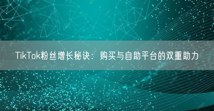 TikTok粉丝增长秘诀：购买与自助平台的双重助力