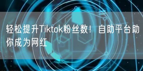 轻松提升Tiktok粉丝数！自助平台助你成为网红