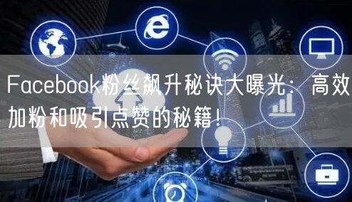 Facebook粉丝飙升秘诀大曝光：高效加粉和吸引点赞的秘籍！