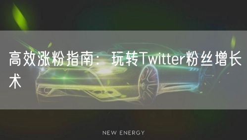 高效涨粉指南：玩转Twitter粉丝增长术