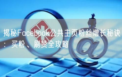 揭秘Facebook公共主页粉丝增长秘诀：买粉、刷赞全攻略