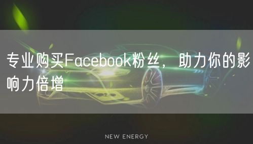 专业购买Facebook粉丝，助力你的影响力倍增