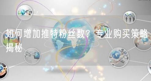 如何增加推特粉丝数？专业购买策略揭秘