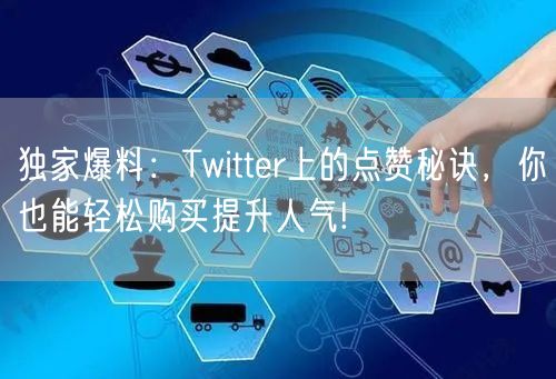 独家爆料：Twitter上的点赞秘诀，你也能轻松购买提升人气!