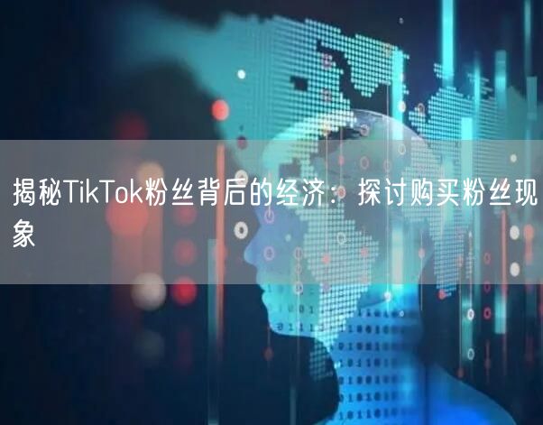 揭秘TikTok粉丝背后的经济：探讨购买粉丝现象