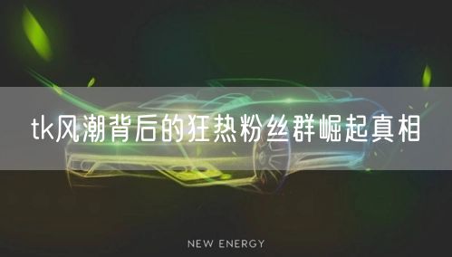 tk风潮背后的狂热粉丝群崛起真相