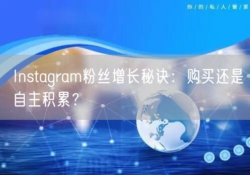 Instagram粉丝增长秘诀：购买还是自主积累？