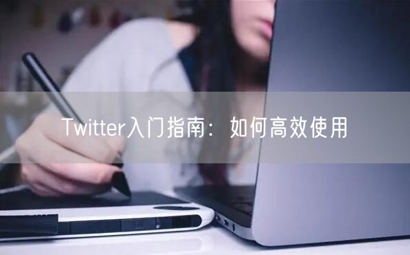 Twitter入门指南:如何高效使用