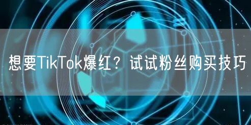 想要TikTok爆红？试试粉丝购买技巧