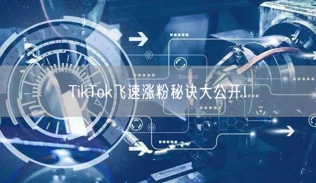 TikTok飞速涨粉秘诀大公开！