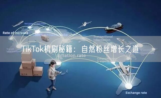 TikTok机刷秘籍：自然粉丝增长之道