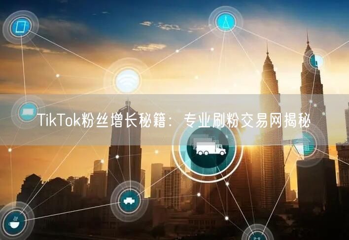 TikTok粉丝增长秘籍：专业刷粉交易网揭秘