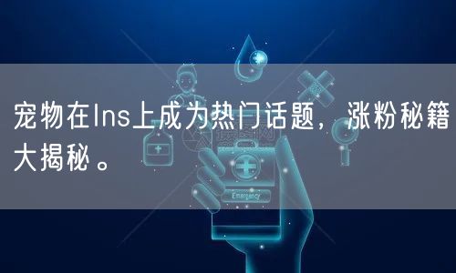 宠物在Ins上成为热门话题，涨粉秘籍大揭秘。