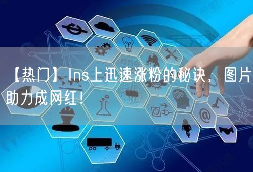 【热门】Ins上迅速涨粉的秘诀，图片助力成网红！
