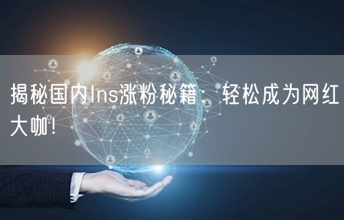 揭秘国内Ins涨粉秘籍:轻松成为网红大咖!