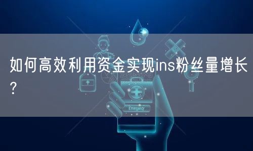 如何高效利用资金实现ins粉丝量增长?