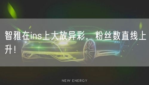 智雅在ins上大放异彩，粉丝数直线上升！