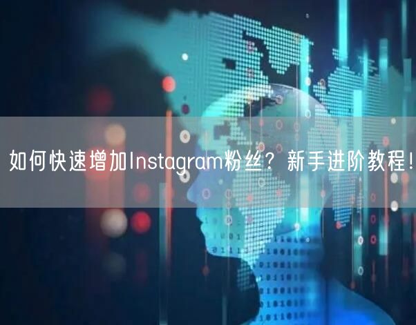 如何快速增加Instagram粉丝？新手进阶教程！