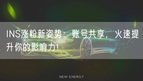 INS涨粉新姿势:账号共享,火速提升你的