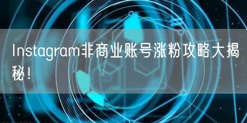 Instagram非商业账号涨粉攻略大揭秘！