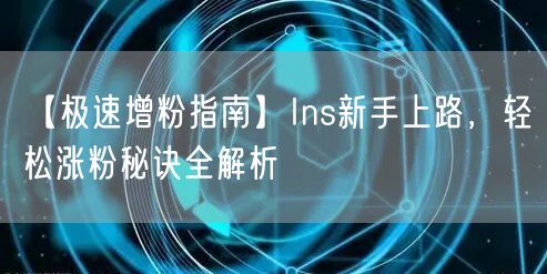 【极速增粉指南】Ins新手上路,轻松涨粉秘诀全解析