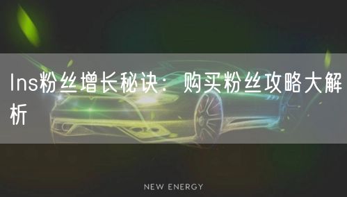 Ins粉丝增长秘诀：购买粉丝攻略大解析