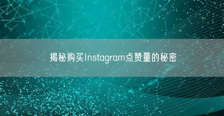 揭秘购买Instagram点赞量的秘密
