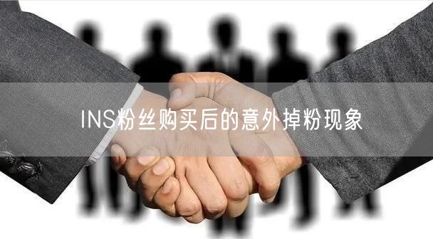 INS粉丝购买后的意外掉粉现象