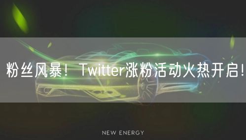 粉丝风暴!Twitter涨粉活动火热开启!