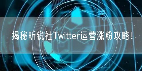 揭秘昕锐社Twitter运营涨粉攻略！