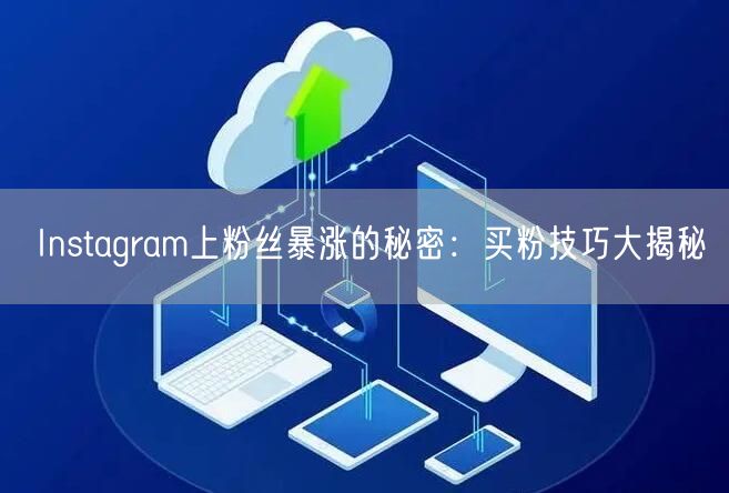 Instagram上粉丝暴涨的秘密：买粉技巧大揭秘