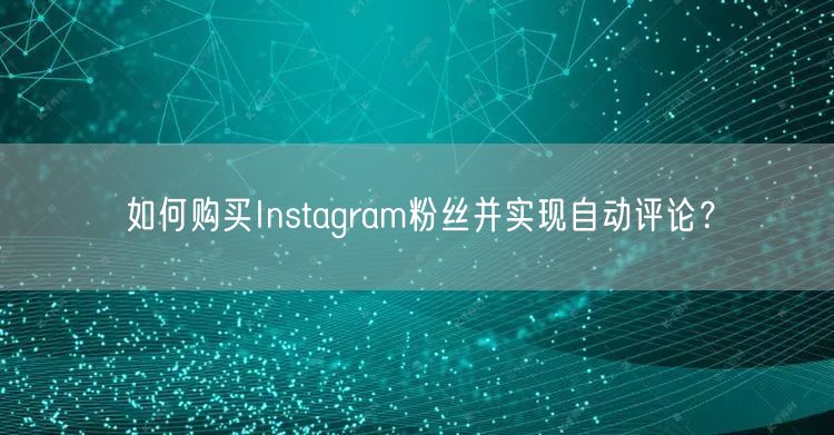 如何购买Instagram粉丝并实现自动评论？
