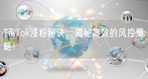 TikTok涨粉秘诀：揭秘高效的风控策略！