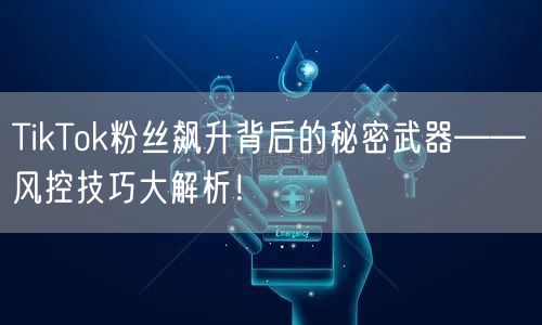 TikTok粉丝飙升背后的秘密武器——风控技巧大解析！