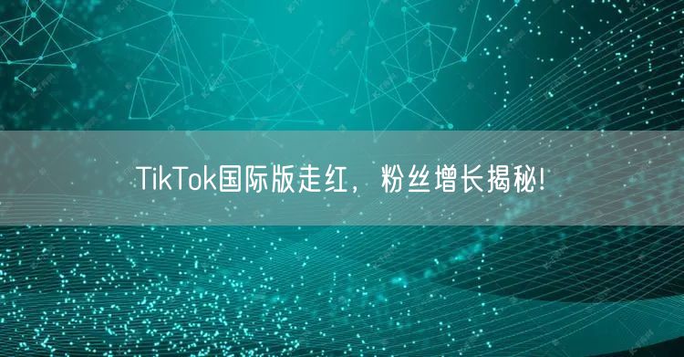 TikTok国际版走红，粉丝增长揭秘!