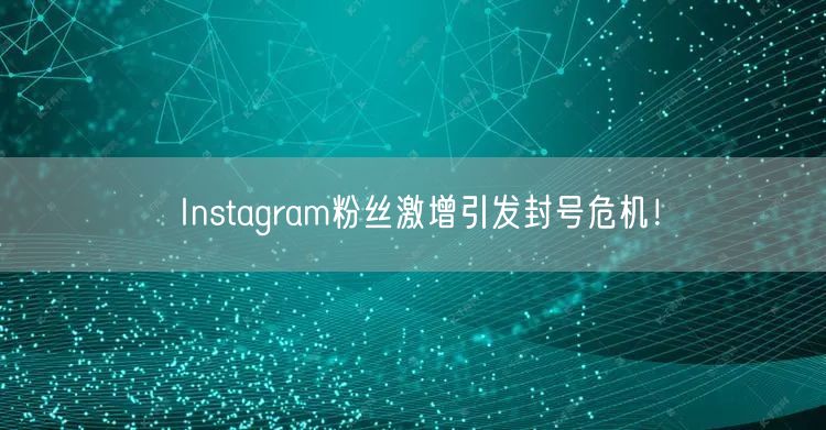 Instagram粉丝激增引发封号危机！