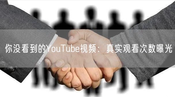 你没看到的YouTube视频：真实观看次数曝光