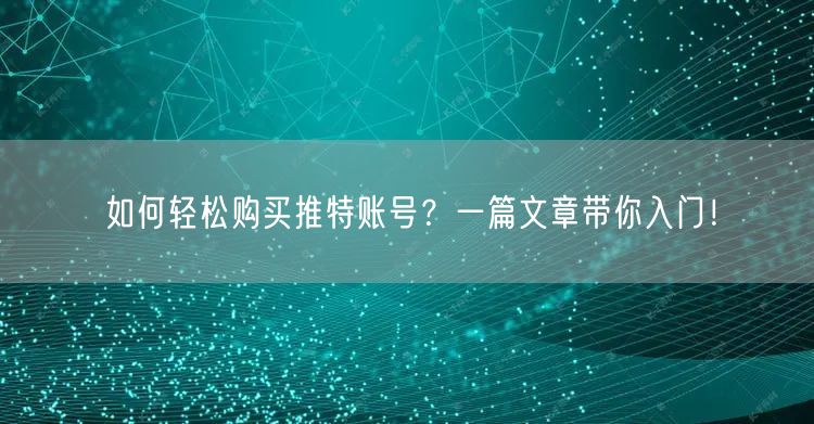 如何轻松购买推特账号？一篇文章带你入门！