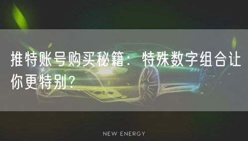 推特账号购买秘籍：特殊数字组合让你更特别？