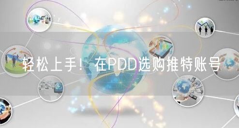 轻松上手!在PDD选购推特账号